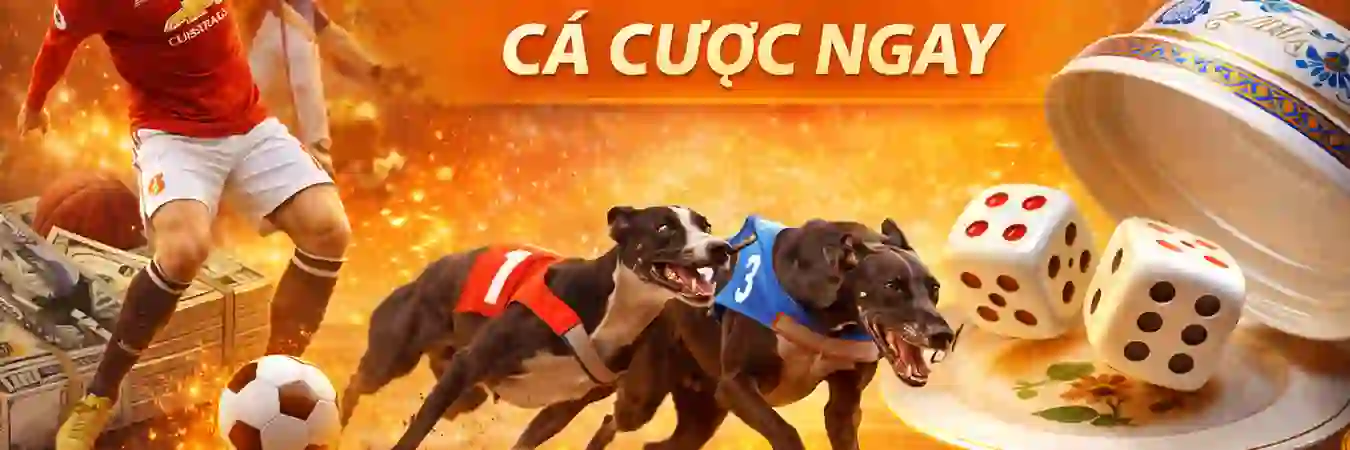 Banner chính thức OKVIP66 - Cổng giải trí hàng đầu